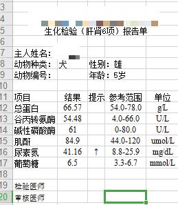 狗狗前列腺肿大保守治疗如何用药,狗狗前列腺肿大怎么治