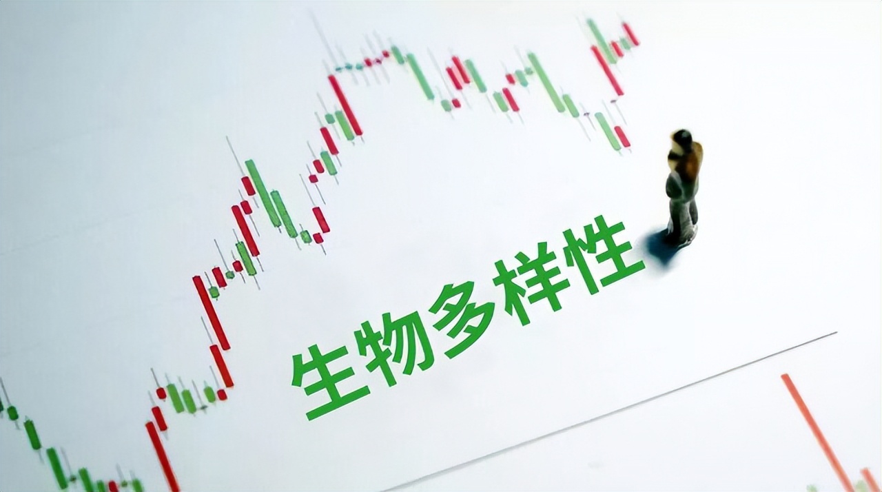 生物多样性与环境保护的关系,生物多样性和什么产业有关