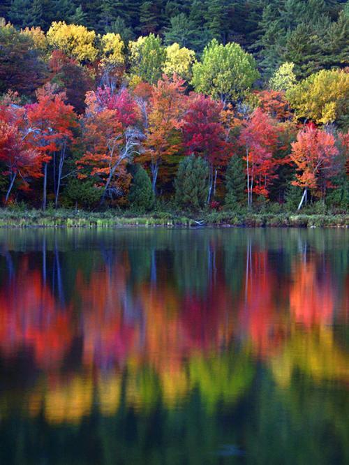愁是心上秋文案,愁是离人心上秋的下联