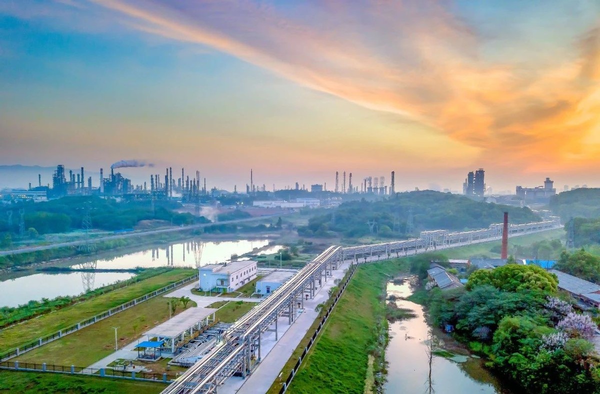 安徽安庆有什么比较大的产业,安庆各个区产业布局