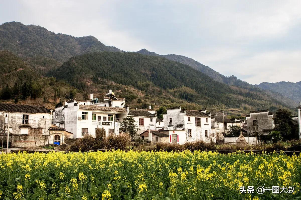 鏁ｆ枃涔℃潙鐢板洯,鏁ｆ枃涔″湡鎯呯粨