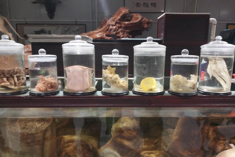 1斤能卖多少钱的东西,1斤以内太岁出售