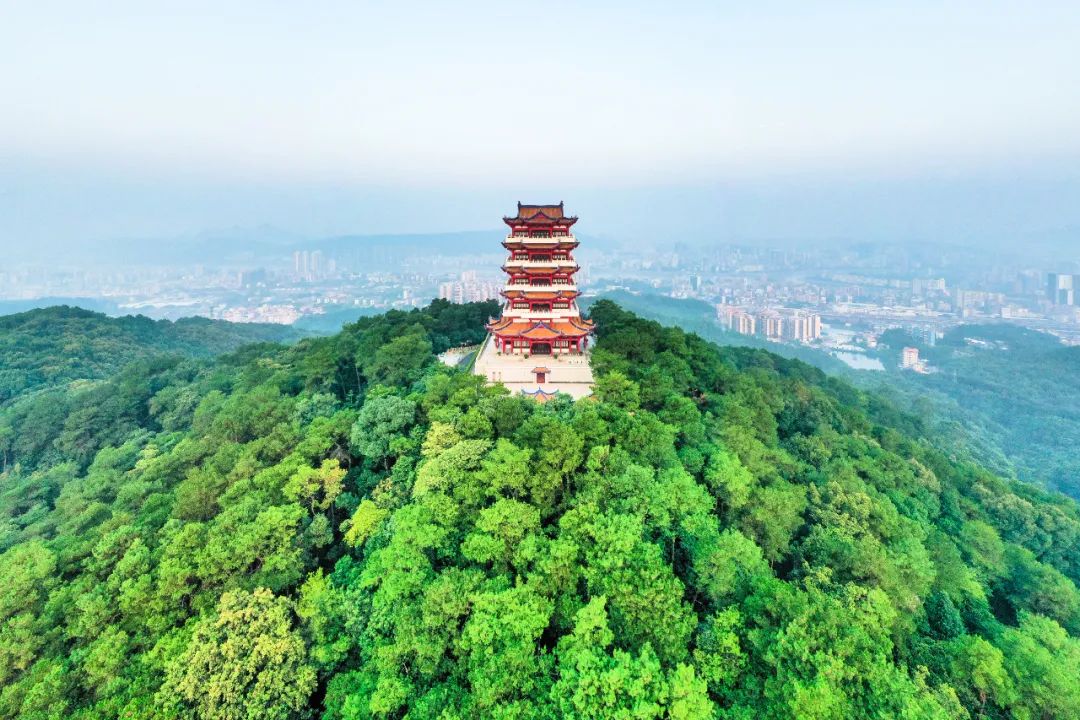 letsgo一周目攻略,letsgo图鉴攻略