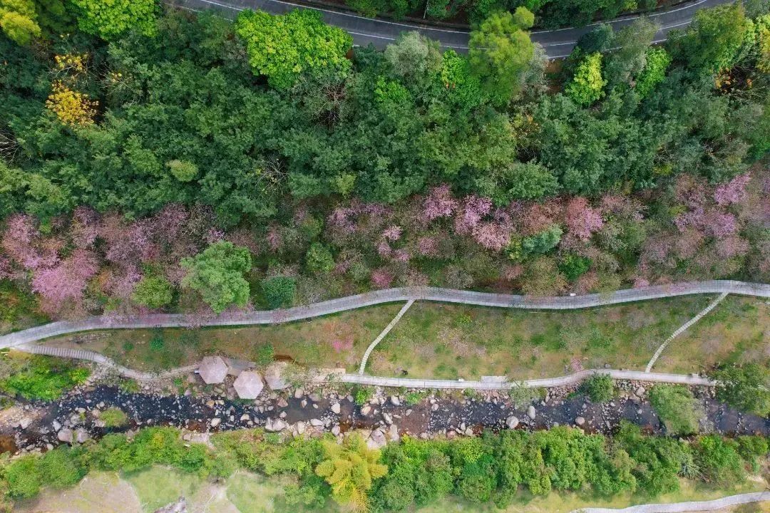 假期余额不足带孩子露营,假期余额不足赶紧郊游