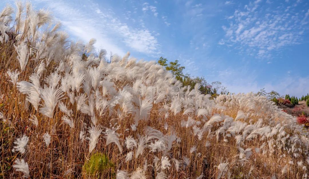 济南小众但是值得一去的地方,济南小众打卡圣地冬季