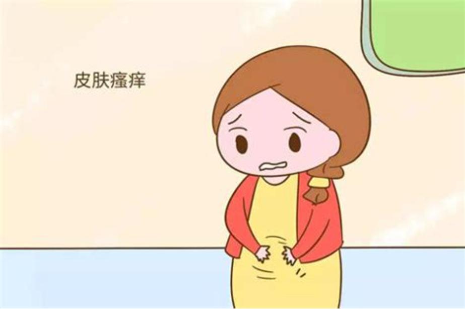 阴部尴尬的瘙痒，可能是阴虱在作怪，警惕阴虱的这3个传播途径