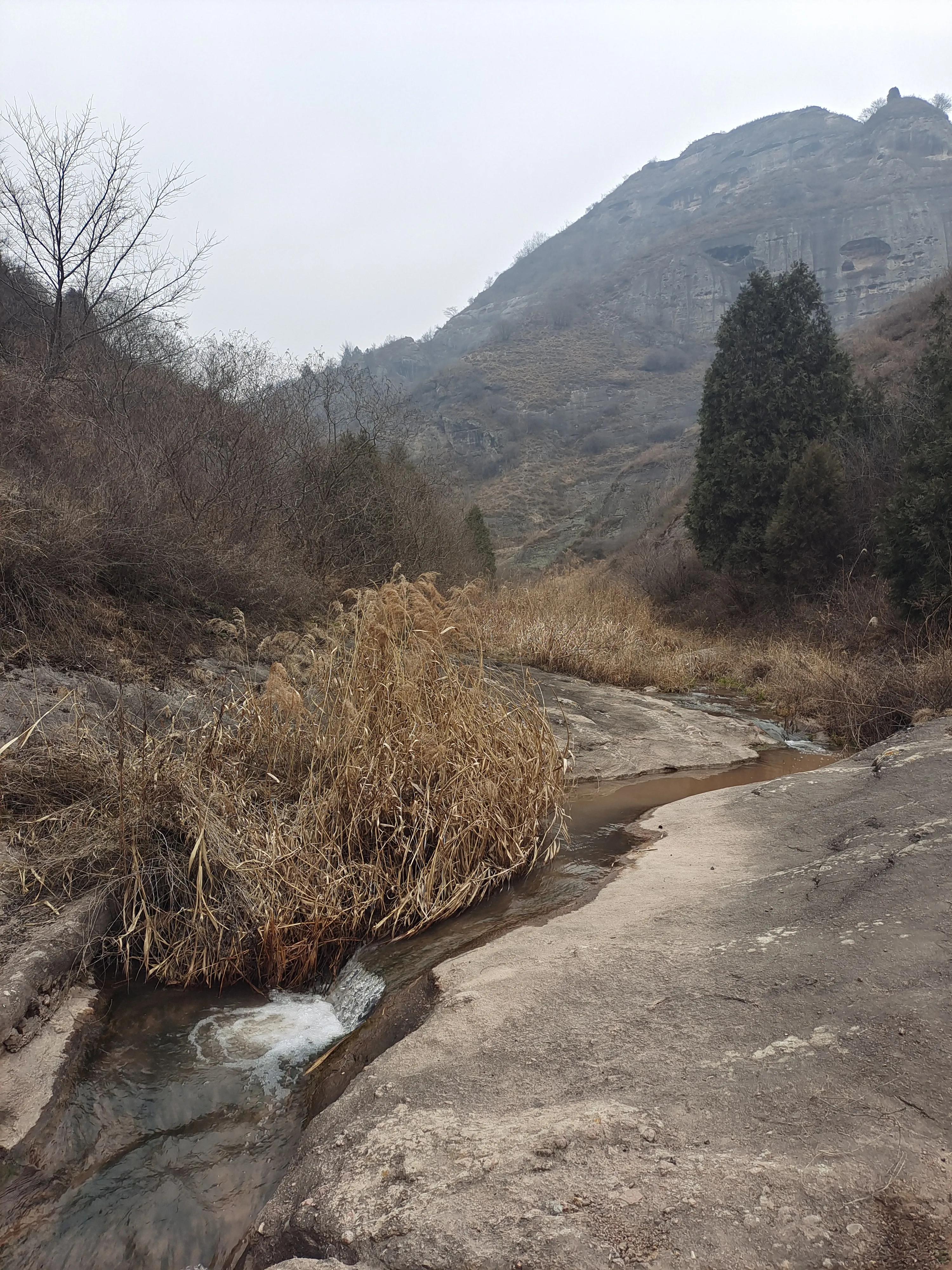 尼康调出油润感,尼康油润点的镜头