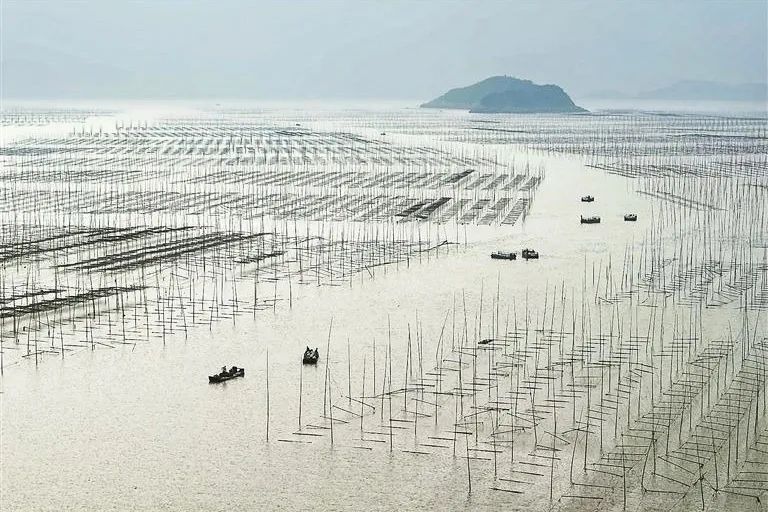 海美、小吃巨好吃！这个神还原游戏世界的小城，不该这样被埋没！