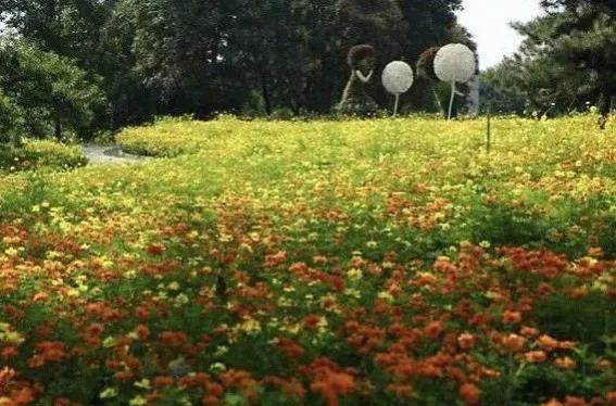 和字的解读,和字原意