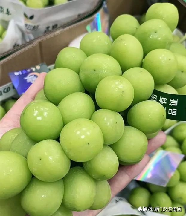 韩国关税rcep,rcep关税最新政策