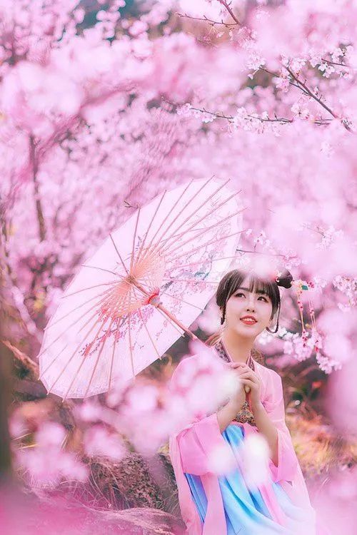 香草伊甸园景区最佳花开期,转发此文