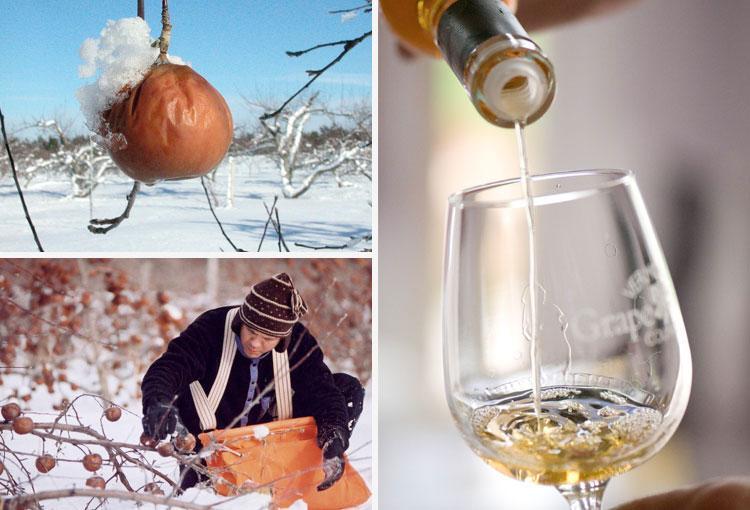 世界第一大果酒,世界哪种苹果酒最好