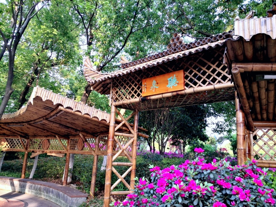 凤凰公园景色美,常州凤凰公园美篇