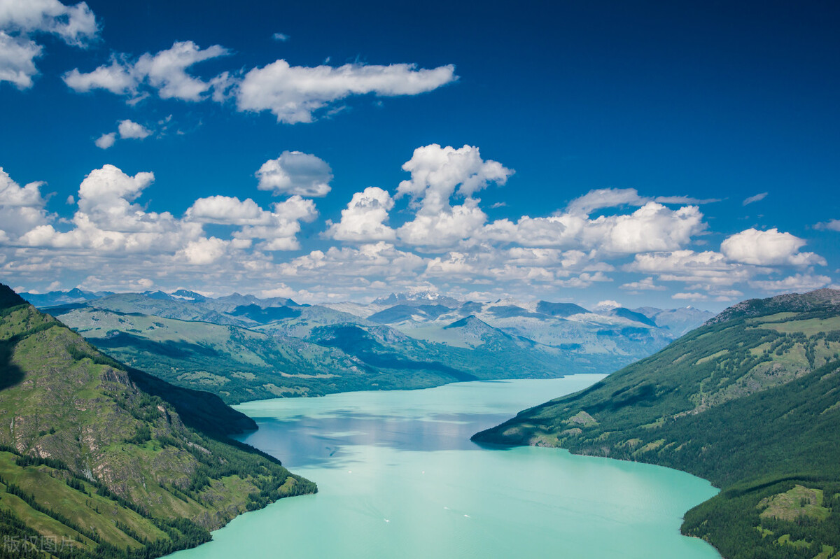 食品药品类犯罪罪名,食品药品犯罪案件法条