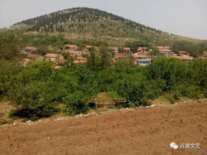 再回安塞,再回延川