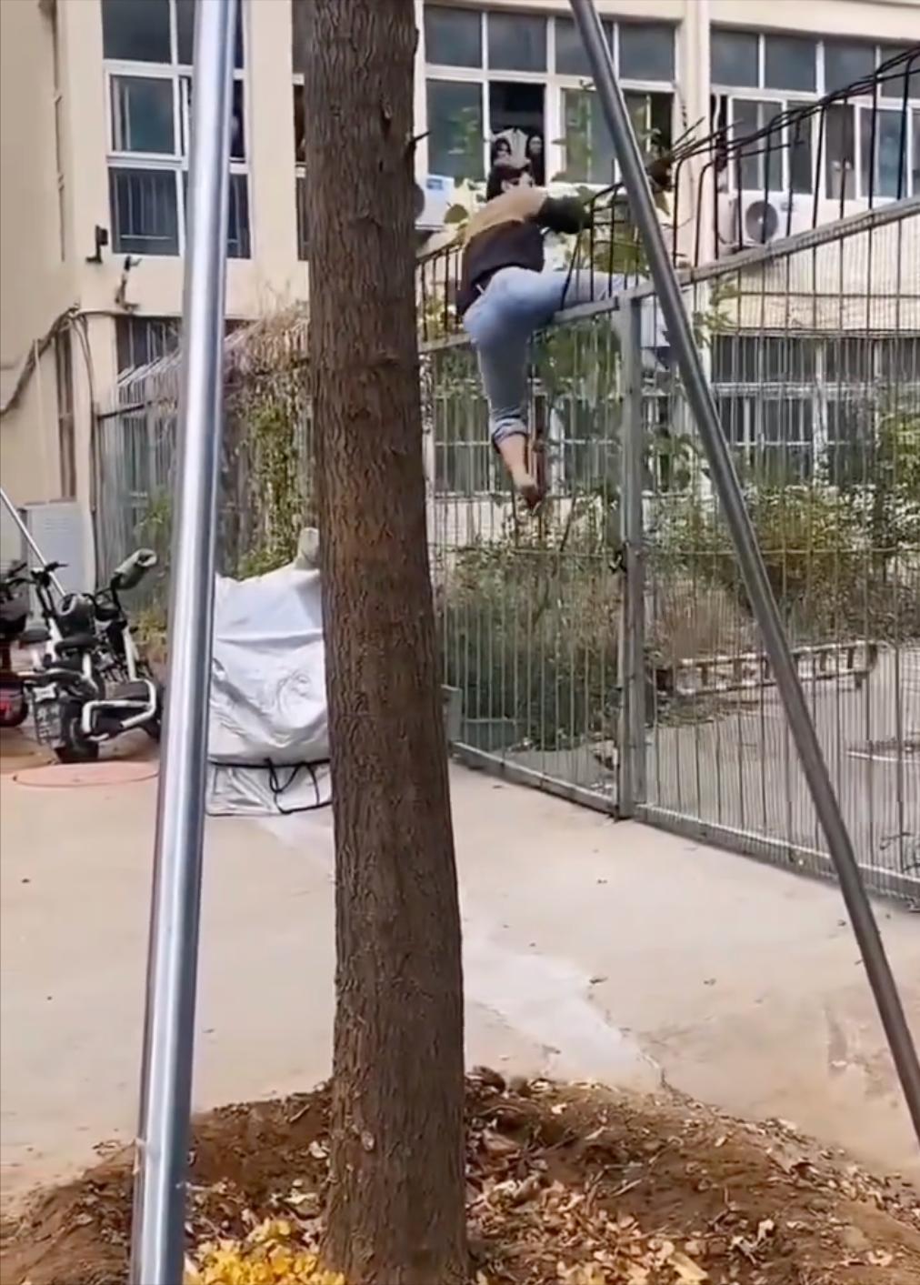 山东服装职业学院黄毛事件后续,山东服装职业学院黄毛是谁