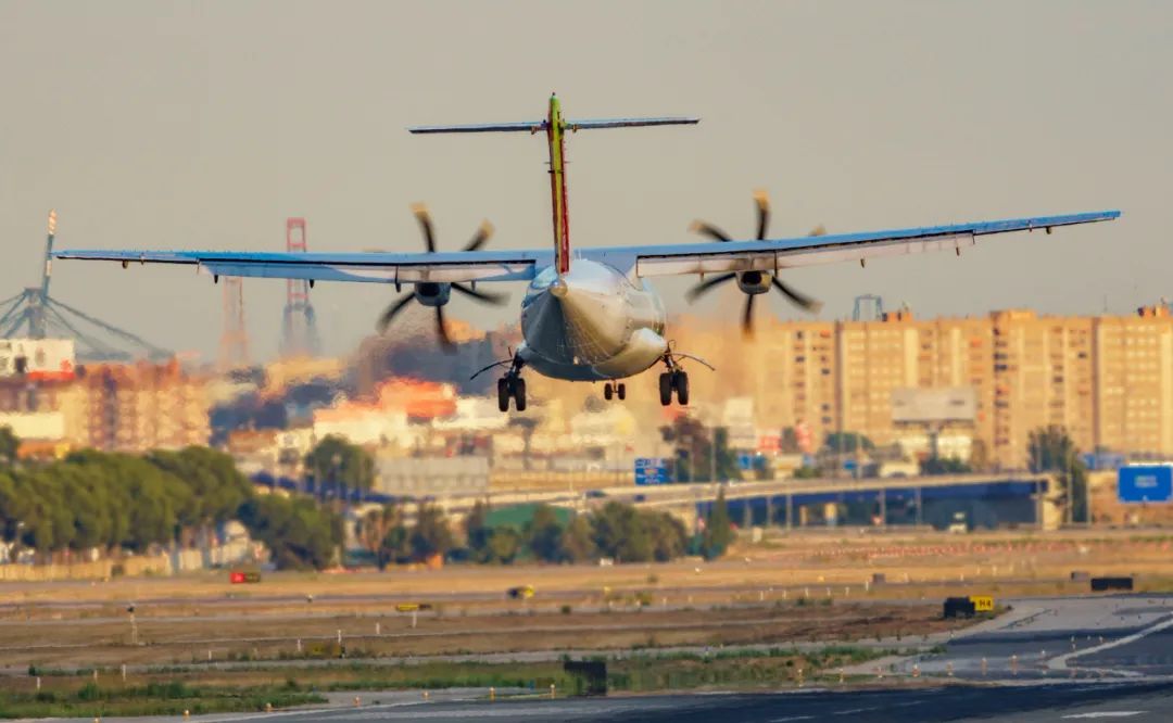 “Sheiseasy”什么意思？千万别乱用哦！