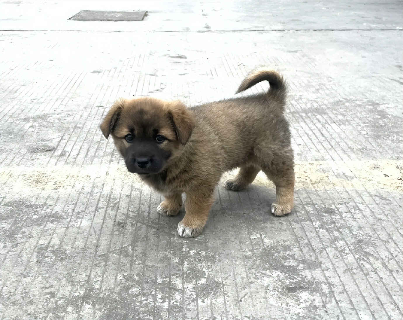 女厕的诡异事件,诡异女厕
