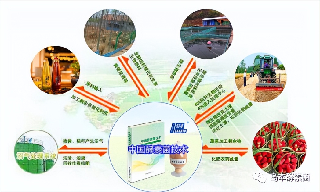 绿色酵素农业,农业酵素菌种植技术