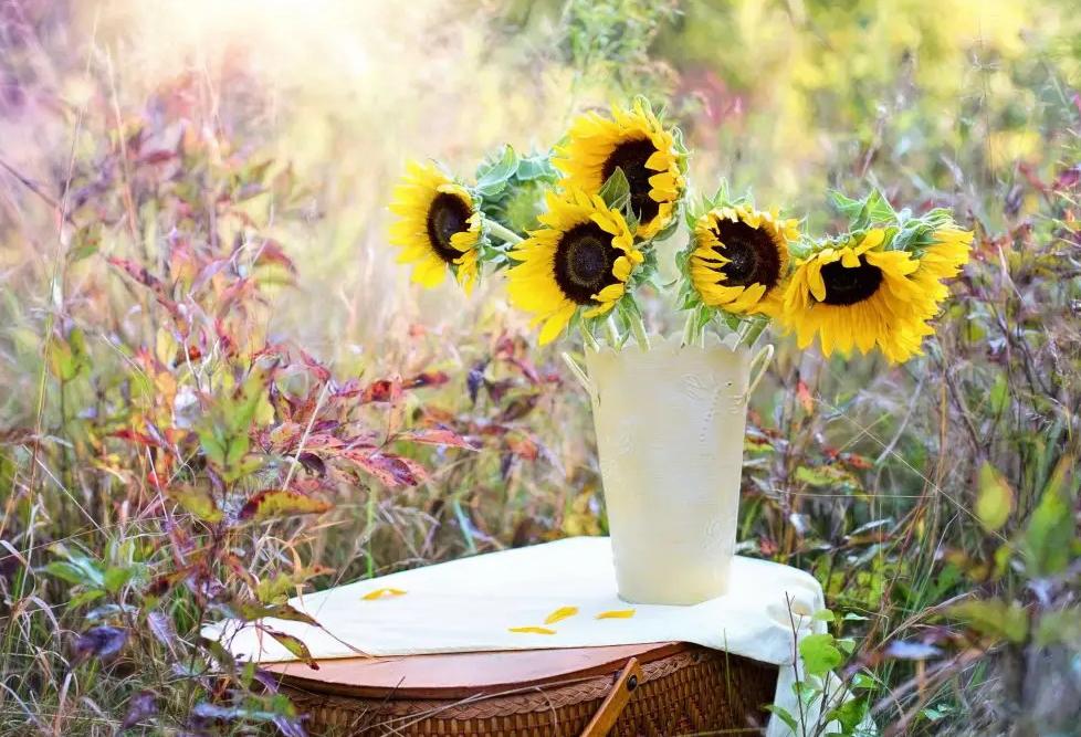 母亲节恐怖故事,母亲节背后的历史