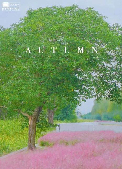 上海免费适合遛娃的公园,上海亲子公园游玩地点推荐