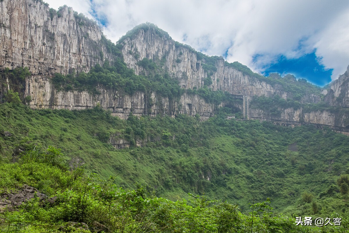四川村民悬崖绝壁采燕窝,煮成“富贵汤”,为何只给外人喝?