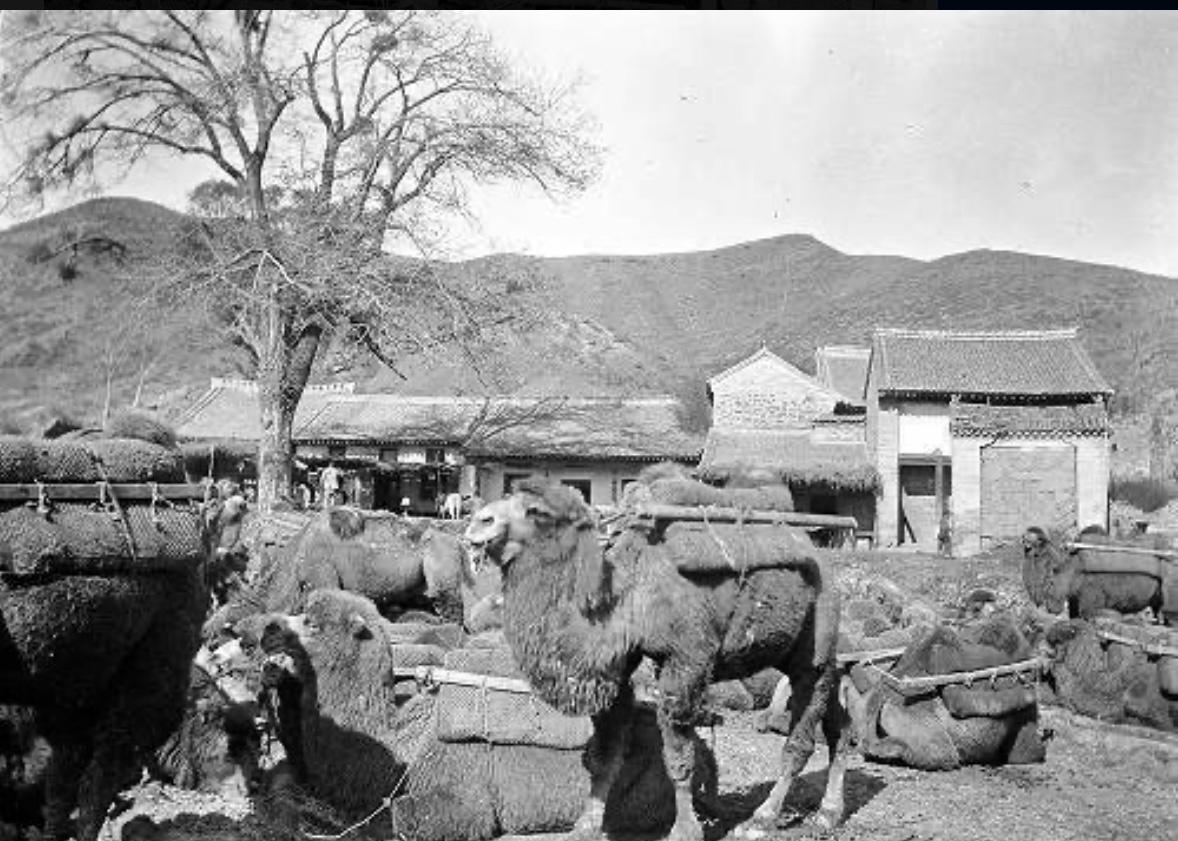 日军日记：*安妇慰**不服从管教，我很愤怒，用*刀刺**插入她的*体下**