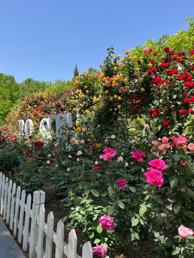 郑州最适合自驾的地方,周末郑州自驾游最美路线