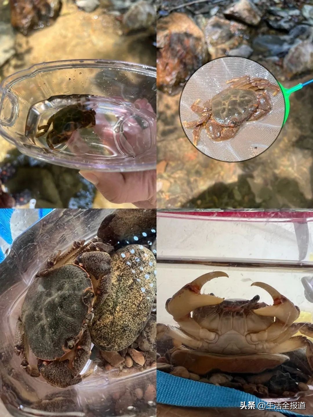 杭州六一遛娃好去处,北京六一遛娃好去处