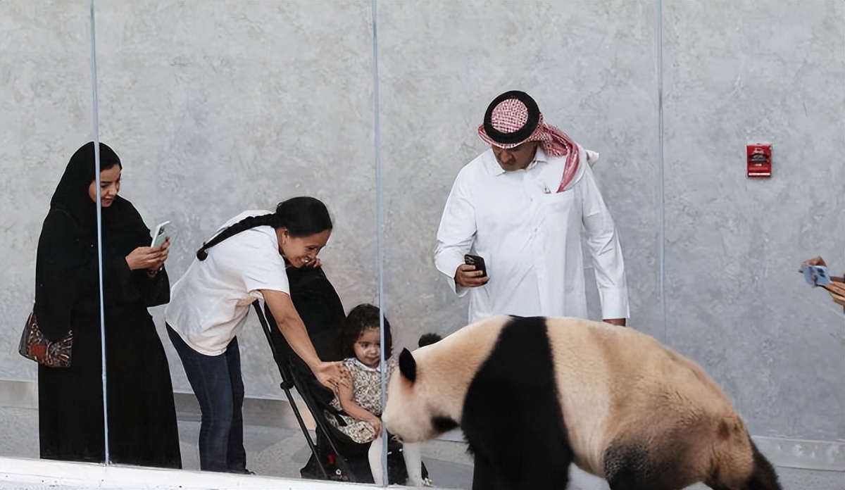 卡塔尔世界杯2200亿,卡塔尔办世界杯中国能赚多少钱