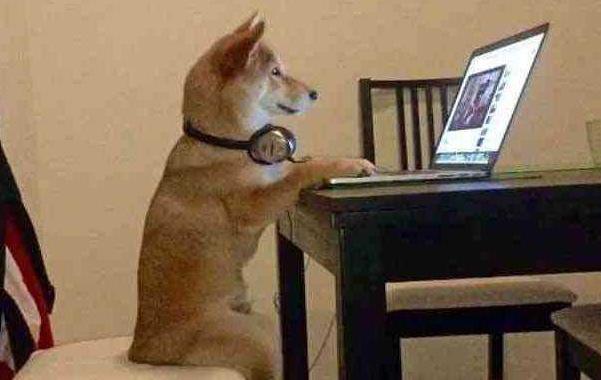 华为无线wifi网速慢怎么解决,华为wifi很慢很卡怎么办