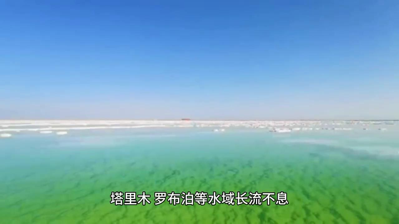 胡杨之美,原创胡杨林