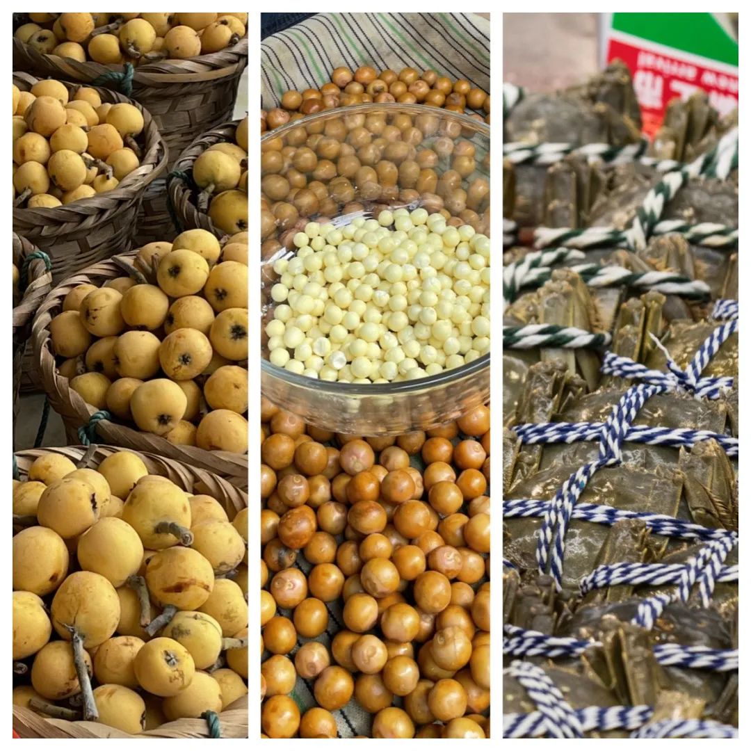 苏州未解之谜大全视频,苏州100个未解之谜