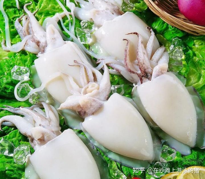 大话舟山海鲜系列(三)—大话墨鱼(喷墨家族成员之一)