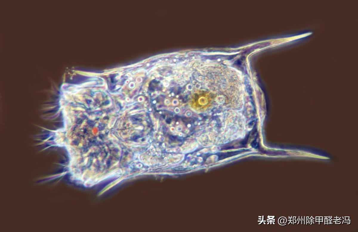 环保工程师对于污水的处理与展望,污水处理工程师要懂哪些东西