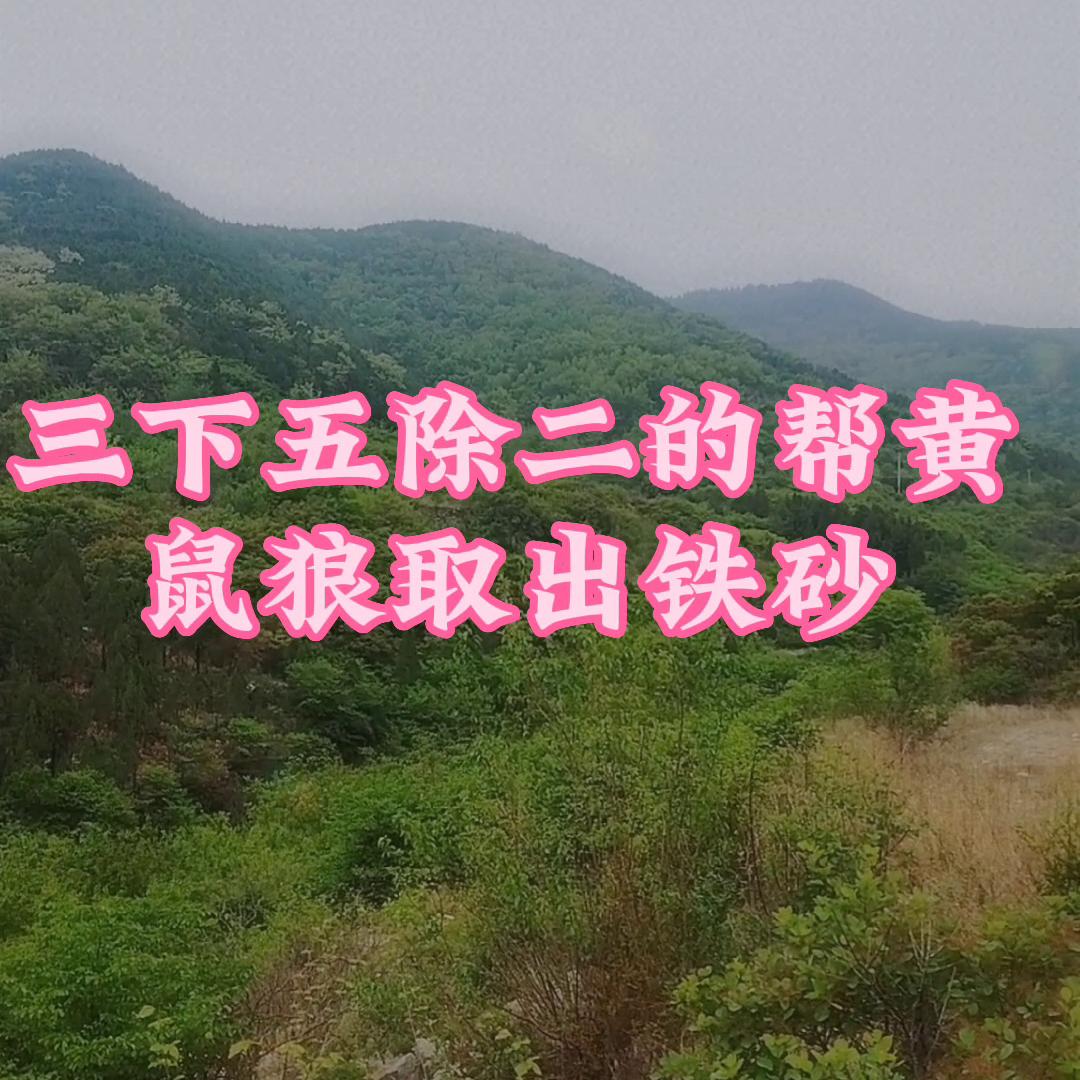 姘戦棿鏁呬簨鏁戜汉鎬у懡鐨勯粍榧犵嫾,鏁戜簡鐥呴噸鐨勯粍榧犵嫾姘戦棿鏁呬簨