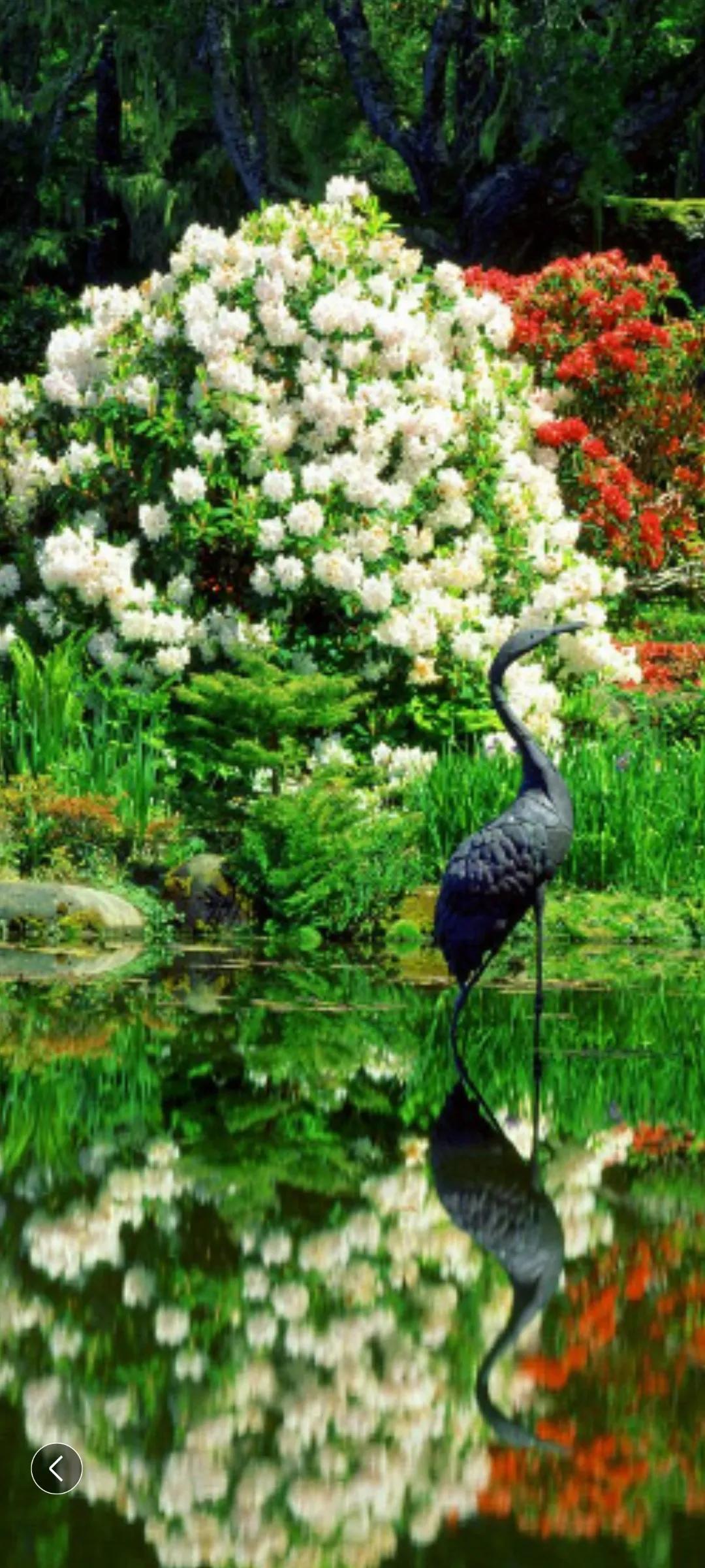 男怕入错行女怕嫁错郎入行须提防,广场舞男怕入错行女怕嫁错郎32步