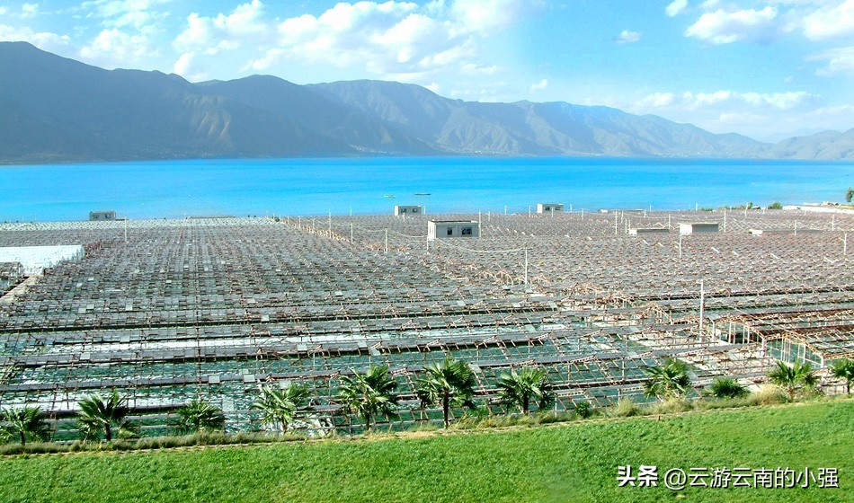 滇西北粮仓地址,滇西北粮仓是哪里