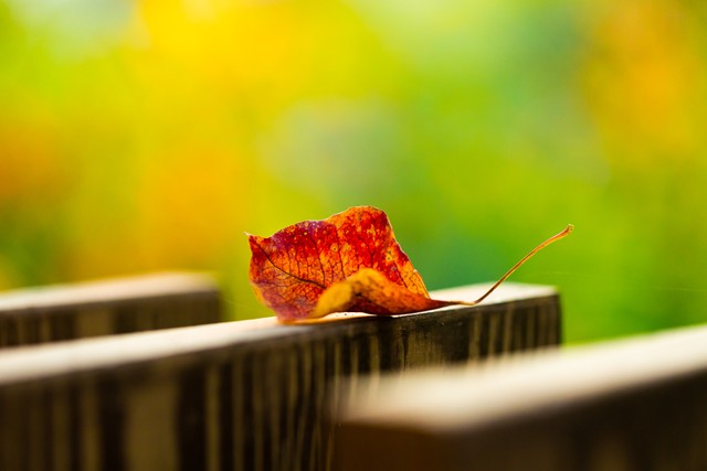 关于充满希望的文案,希望不被辜负的句子文案