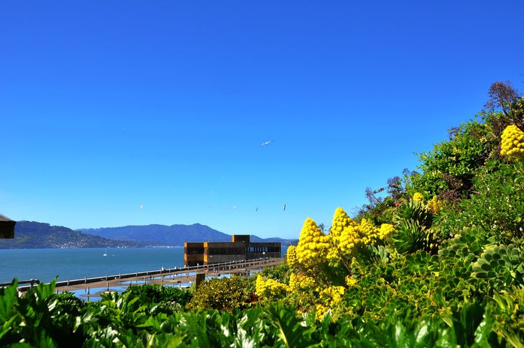 回味旧金山探访成功者的庄园,一种窗口令艾尔卡彭等囚犯备受折磨