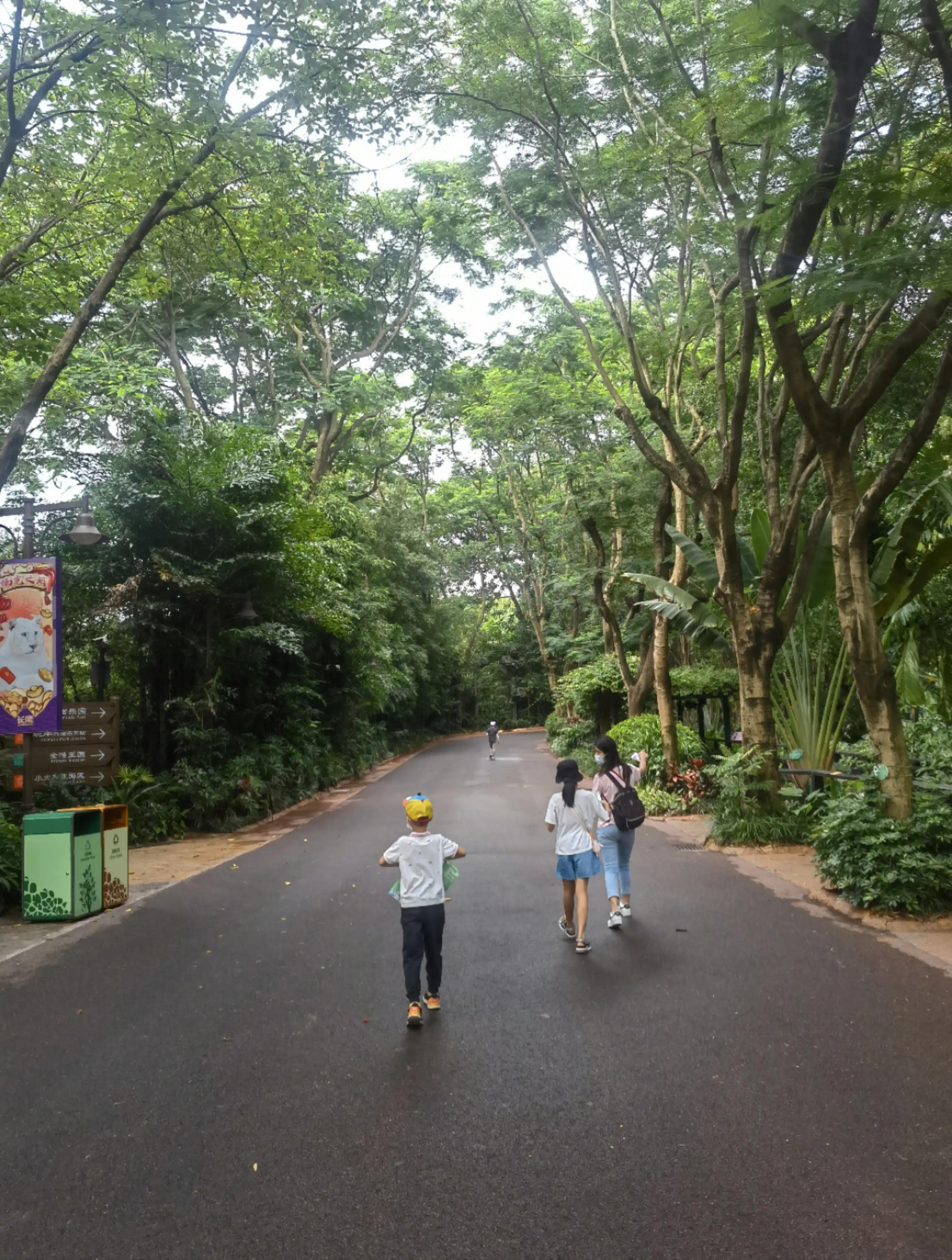 世界上唯一的夜间野生动物园,中国最好的北极熊动物园