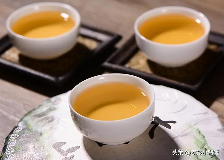 适合秋冬喝的3种茶,春季适合喝的3款时令茶