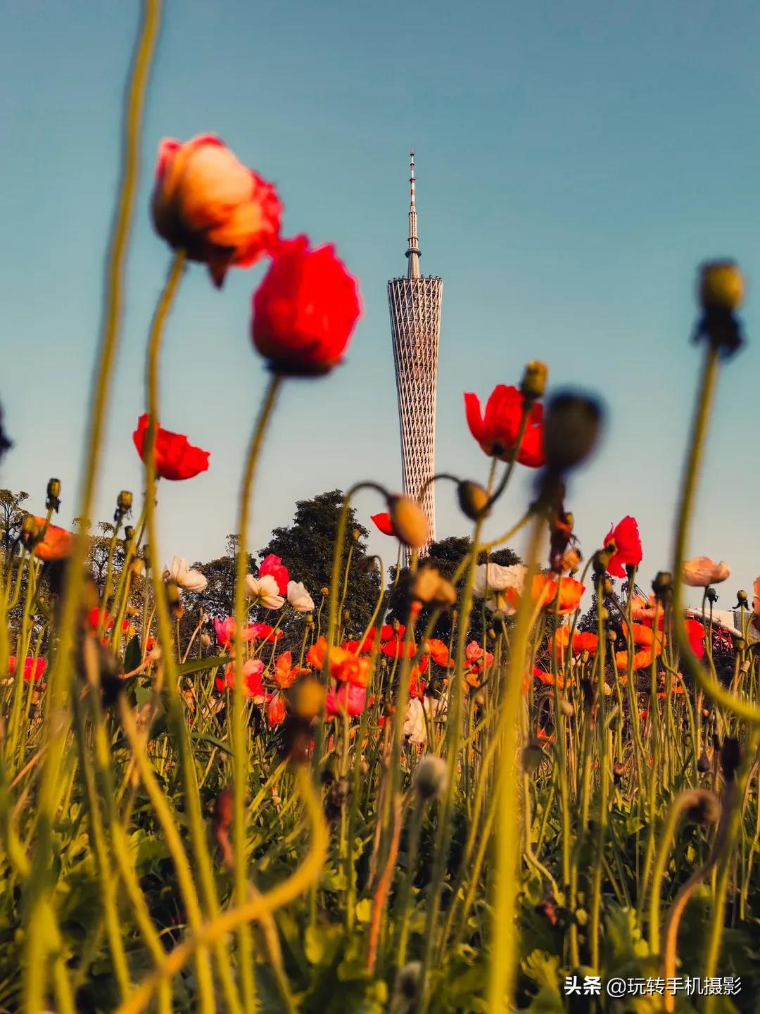 小红书新手应该注意什么,小红书怎么样才能爆火