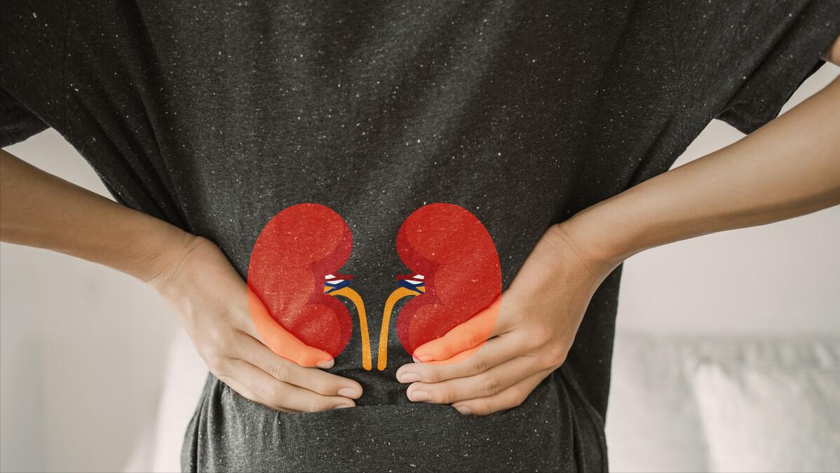 治疗肾病的西药有哪些效果好,肾病前沿治疗又有了新突破