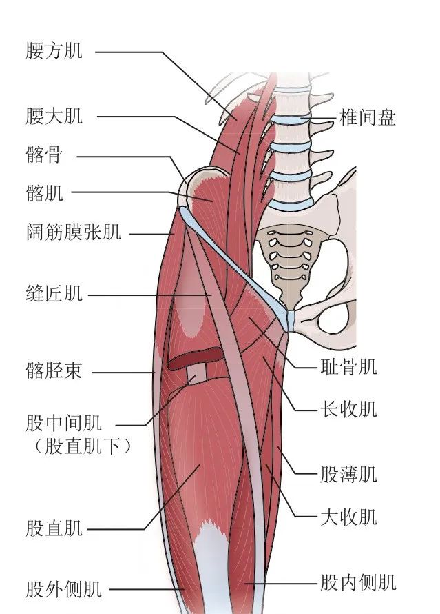 冉冉运动康复事件,冉冉运动康复照