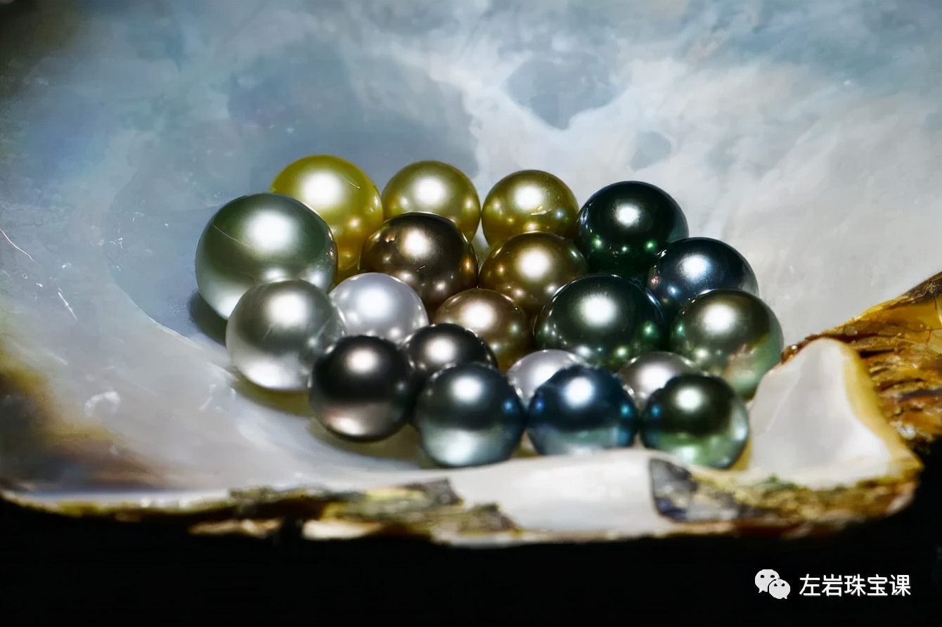 大溪地极强光珍珠鉴赏,优化过的大溪地黑珍珠