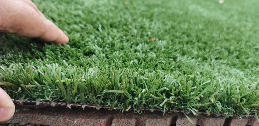 江门学校足球场,江门新会足球场