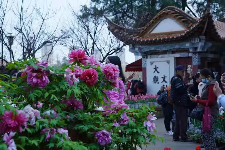 这个季节去哪里玩最合适昆明周边,昆明周边过年旅游推荐