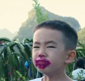 火龙果是白心贵还是红心贵,什么红心火龙果比白心贵