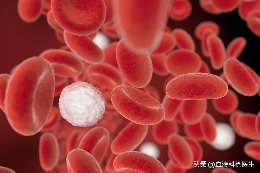 老年人白细胞高16严重吗,老年人白细胞20以上严重吗